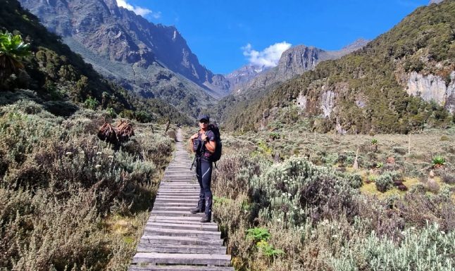 Margherita peak hiking on Mount Rwenzori in Uganda